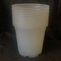 Clear Pots - 15cm (10 pack)