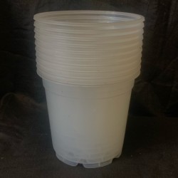 Clear Pots - 15cm (10 pack) Clear Pots - 15cm (10 pack)