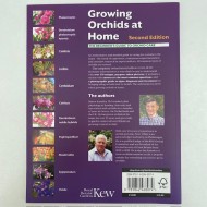 Growing Orchids at Home - The Beginner's Guide to Orchid Care