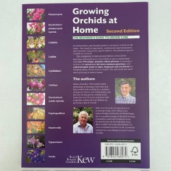 Growing Orchids at Home - The Beginner's Guide to Orchid Care Growing Orchids at Home - The Beginner's Guide to Orchid Care