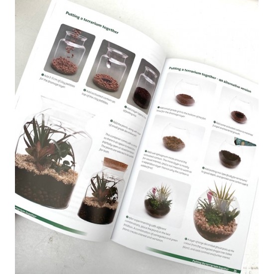 Terrariums - A Beginner's Guide
