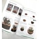 Terrariums - A Beginner's Guide