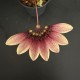 Bulbophyllum lepidum