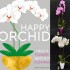 Orchid Gift Package