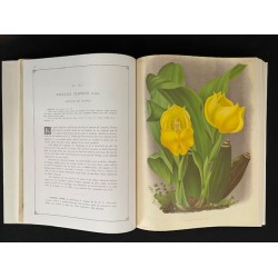 Lindenia Book Set 2 Lindenia Book Set 2