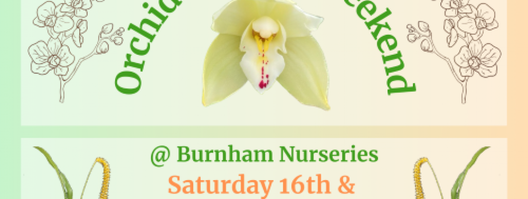 Orchid Festival Weekend - 16th & 17th August 2025