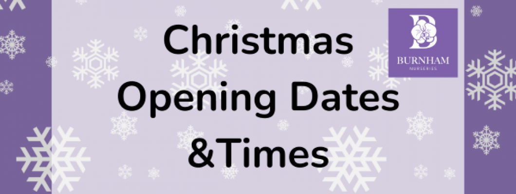 CHRISTMAS OPENING TIMES - 2025