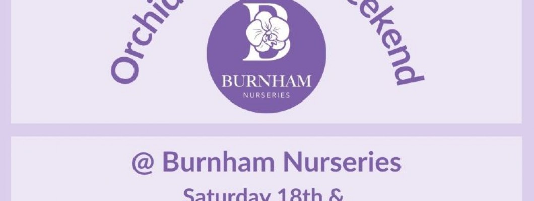 Orchid Festival Weekend - 18th & 19th July 2026