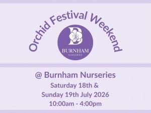 Orchid Festival Weekend - 18th & 19th July 2026
