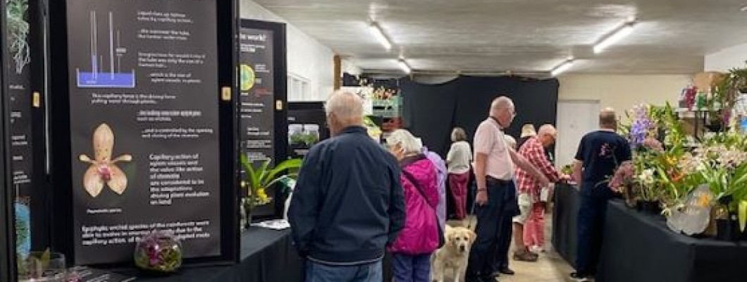 A Fantastic Orchid Festival