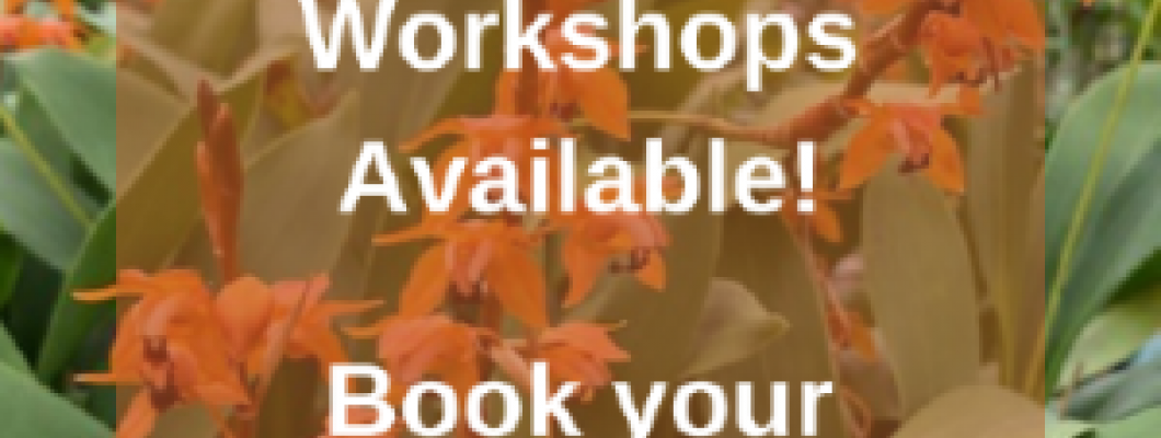 New Orchid Workshops Available