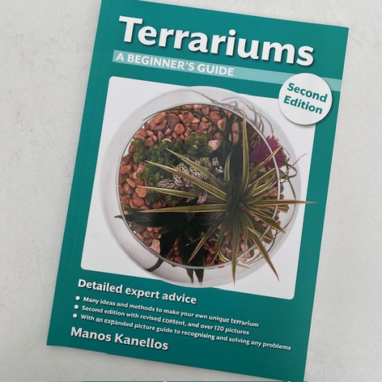 Terrariums - A Beginner's Guide