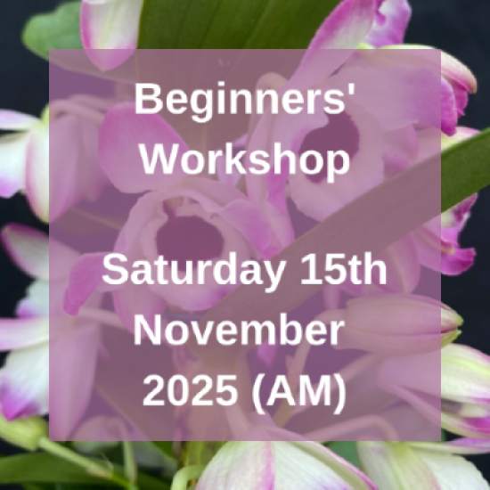 (23BWS) Beginner's Workshop - Sat 15th Nov 2025 (AM) (23BWS) Beginner's Workshop - Sat 15th Nov 2025 (AM)