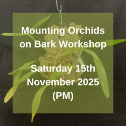(24MOBWS) Mounting Orchids on Bark Workshop - Sat 15th Nov 2025 (PM) (24MOBWS) Mounting Orchids on Bark Workshop - Sat 15th Nov 2025 (PM)