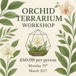 Orchid Terrarium Workshop - Mon 29th March 2027