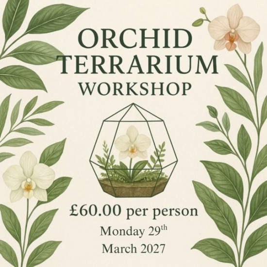 Orchid Terrarium Workshop - Mon 29th March 2027 Orchid Terrarium Workshop - Mon 29th March 2027