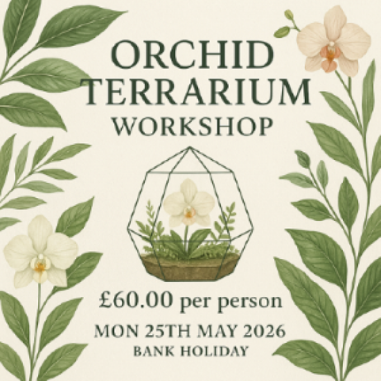 Orchid Terrarium Workshop - Mon 25th May 2026