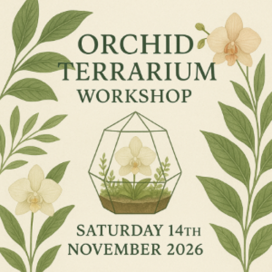 Orchid Terrarium Workshop - Sat 14th Nov 2026