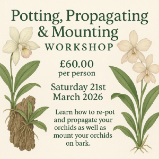 Potting, Propagating & Mounting Workshop - Sat 21st March 2026