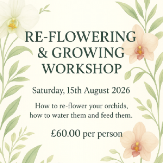 Re-Flowering & Growing Workshop - Sat 15th August 2026