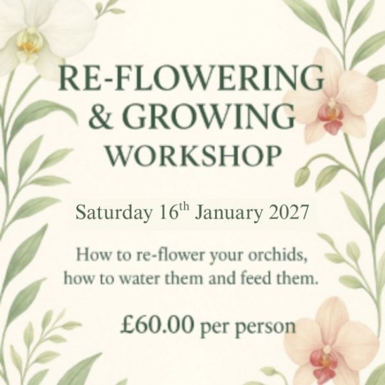Re-Flowering & Growing Workshop - Sat 16th January 2027 Re-Flowering & Growing Workshop - Sat 16th January 2027