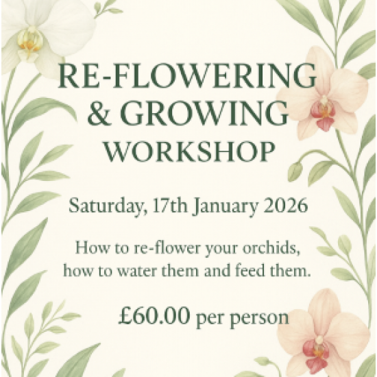 Re-Flowering & Growing Workshop - Sat 17th January 2026