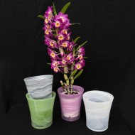 Orchid Pot - Glass (Green)