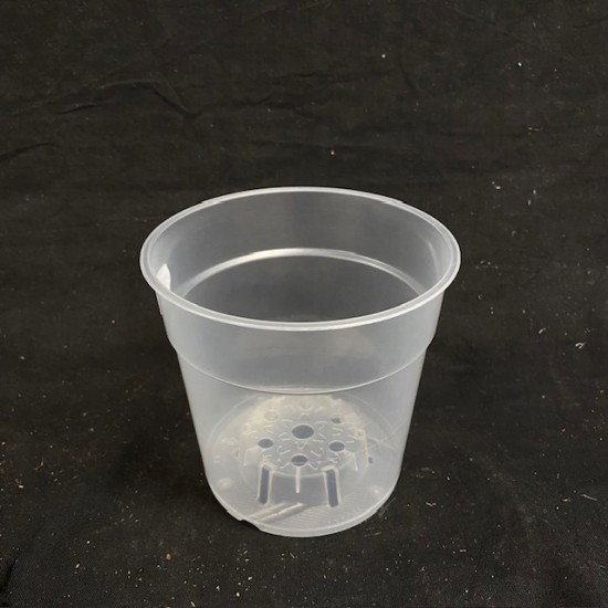 Clear Pot - 12cm