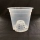 Clear Pot - 17cm