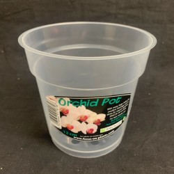 Clear Pot (Orchid Focus) - 12cm Clear Pot (Orchid Focus) - 12cm