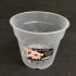Clear Pot (Orchid Focus) - 15cm