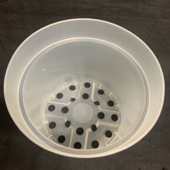 Clear Pot (Orchid Focus) - 17cm