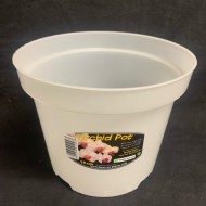 Clear Pot (Orchid Focus) - 19cm