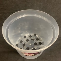 Clear Pot (Orchid Focus) - 21cm Clear Pot (Orchid Focus) - 21cm