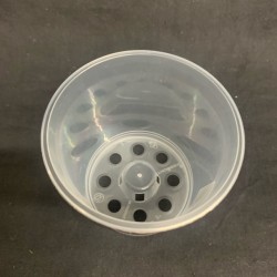 Clear Pot (Orchid Focus) - 9cm Clear Pot (Orchid Focus) - 9cm