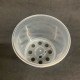 Clear Pot (Orchid Focus) - 9cm