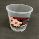 Clear Pot (Orchid Focus) - 9cm