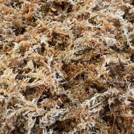 Spagmoss - Compressed Sphagnum Moss - 100g