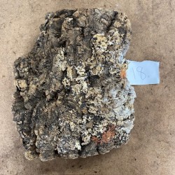 Cork Bark (18) Cork Bark (18)