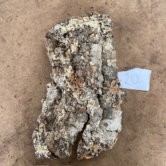 Cork Bark (20)