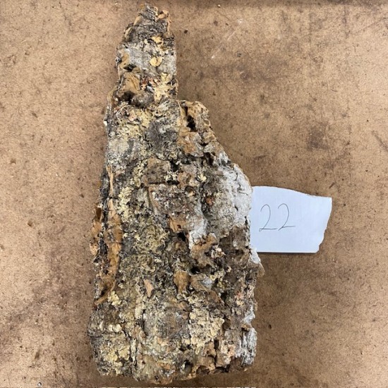 Cork Bark (22)