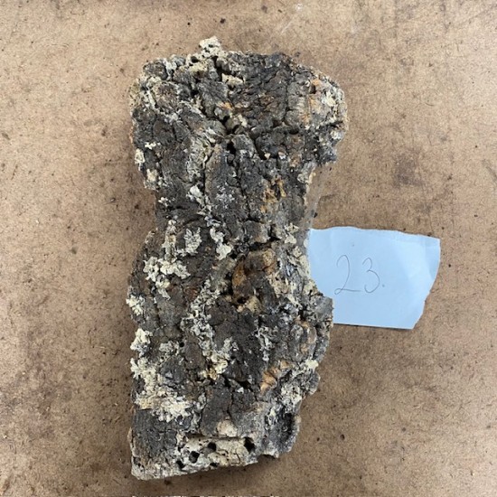 Cork Bark (23)
