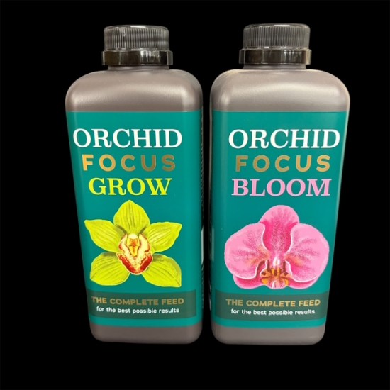 Orchid Focus Offer - 1L