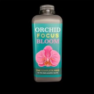 Orchid Focus 'Bloom' 1L