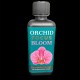 Orchid Focus 'Bloom' 300ml