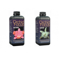 Orchid Focus Offer - 100mls Orchid Focus Offer - 100mls
