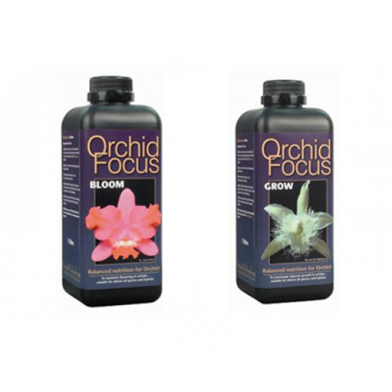 Orchid Focus Offer - 1L