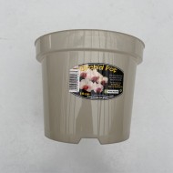 Translucent Pot (Orchid Focus) - 19cm