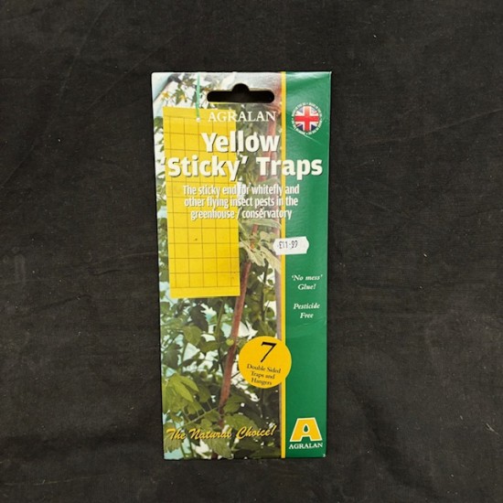 Yellow Sticky Fly Trap