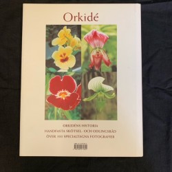 Orkidé - Swedish copy